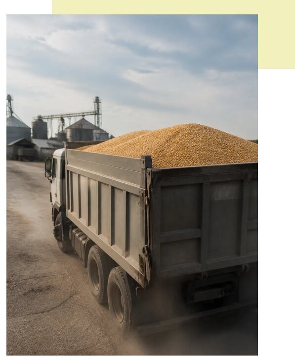 Перевозка сельхозпродукции навалом в Новокубанск по цене от 3119 р. | Агросервис-Нкб